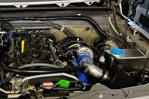 IMG_4442B
